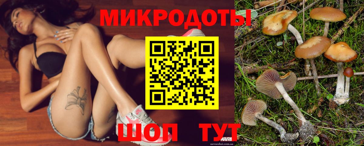 Псилоцибиновые грибы Magic Shrooms Тайшет