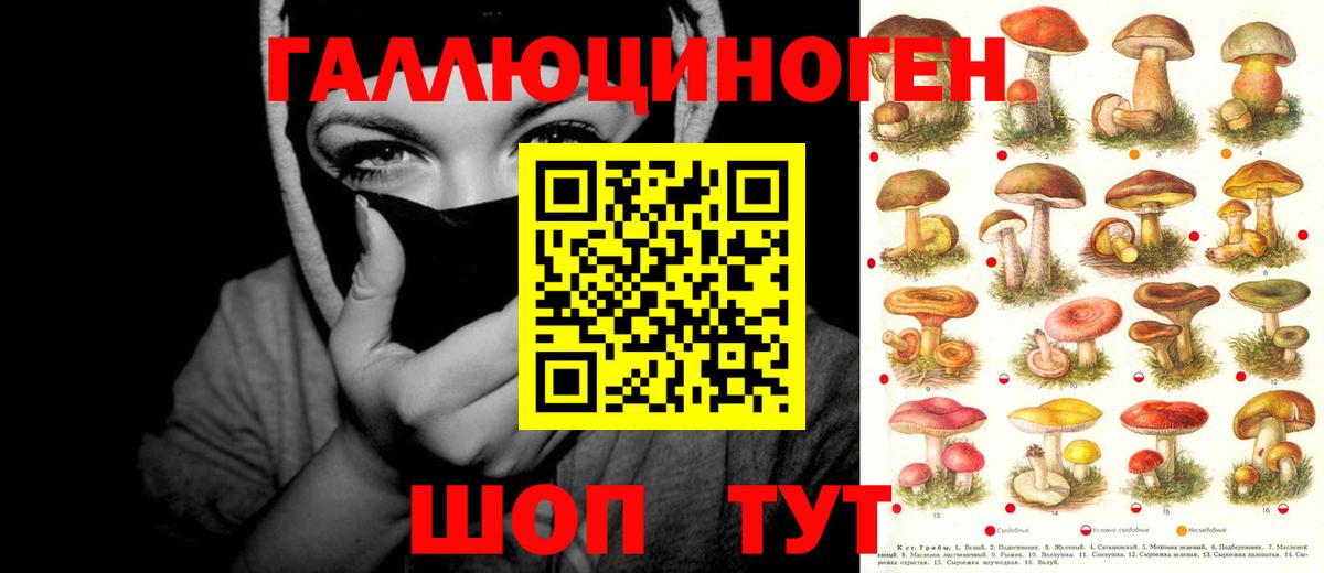 Галлюциногенные грибы ЛСД  Вход с VPN  Тайшет 